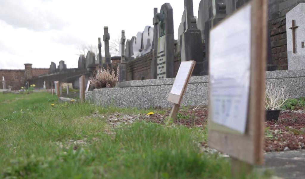 Le renouvellement des concessions, enjeu de modernisation des cimetières