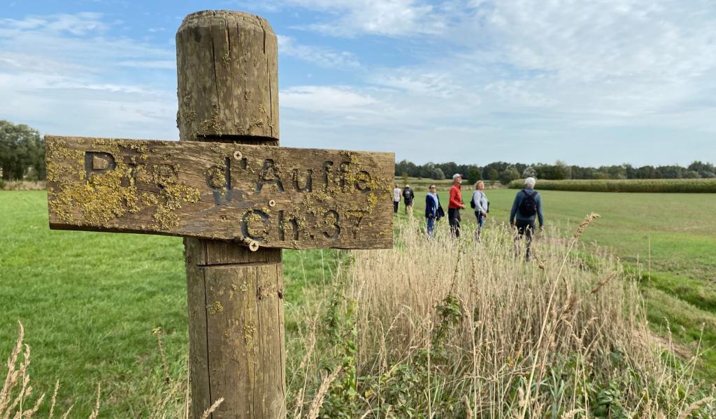 Le Pré d'Auffe, repaire pour oiseaux et future zone d'immersion temporaire