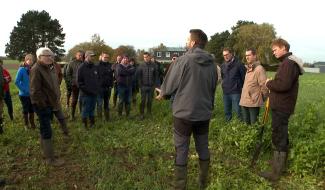 Terraé : rassembler pour progresser dans l'agroécologie en Wallonie