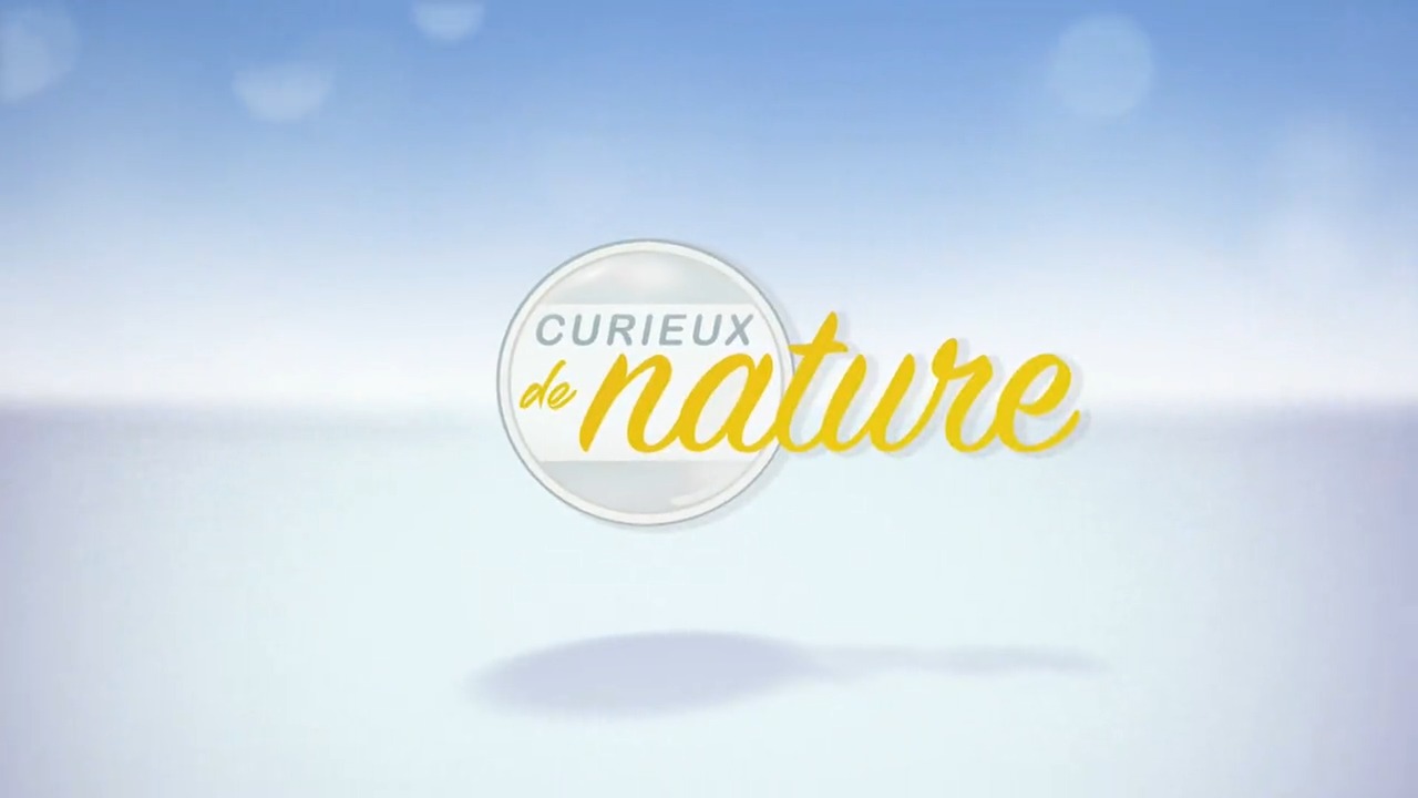 Curieux de nature - 24/04/2024