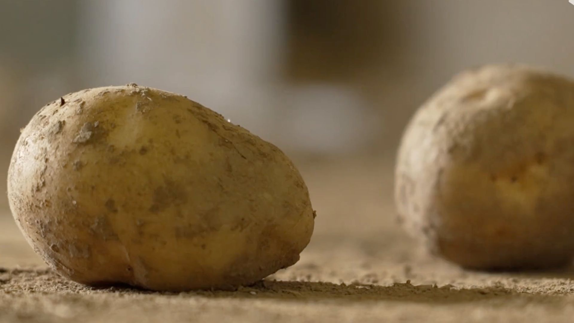 Liste 2024 des pommes de terres robustes : une seule variété belge