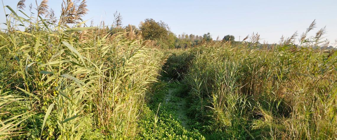 Natagora va gérer les "Sources de la Jette", la plus grande réserve naturelle de Gembloux