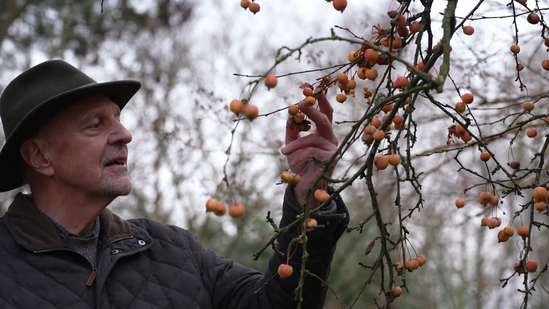 Momentum - Alain Peeters, fondateur de "Terres vivantes"
