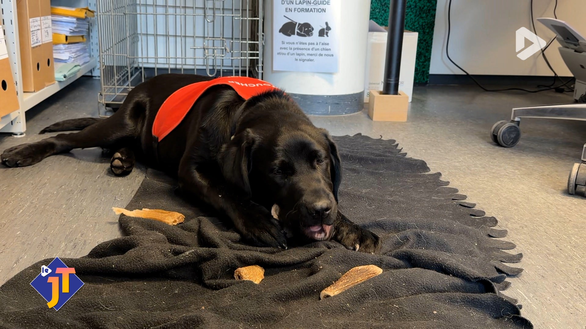 Le JT - Mercredi 18 mars 2026