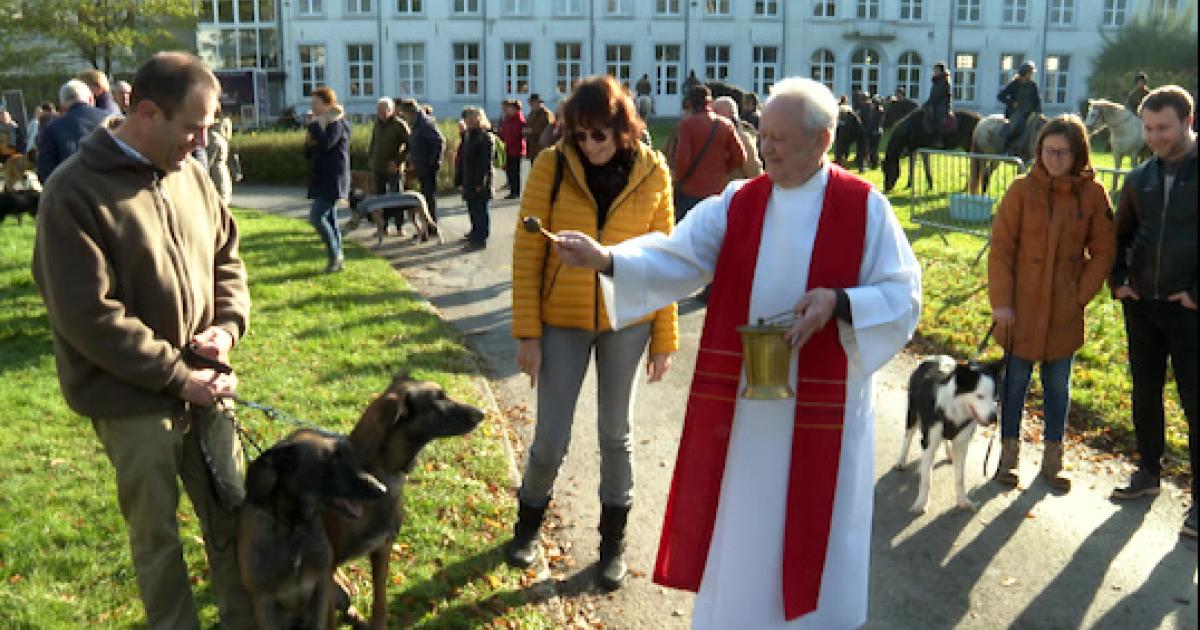 Première édition de la bénédiction SaintHubert à Chastre Canal Zoom