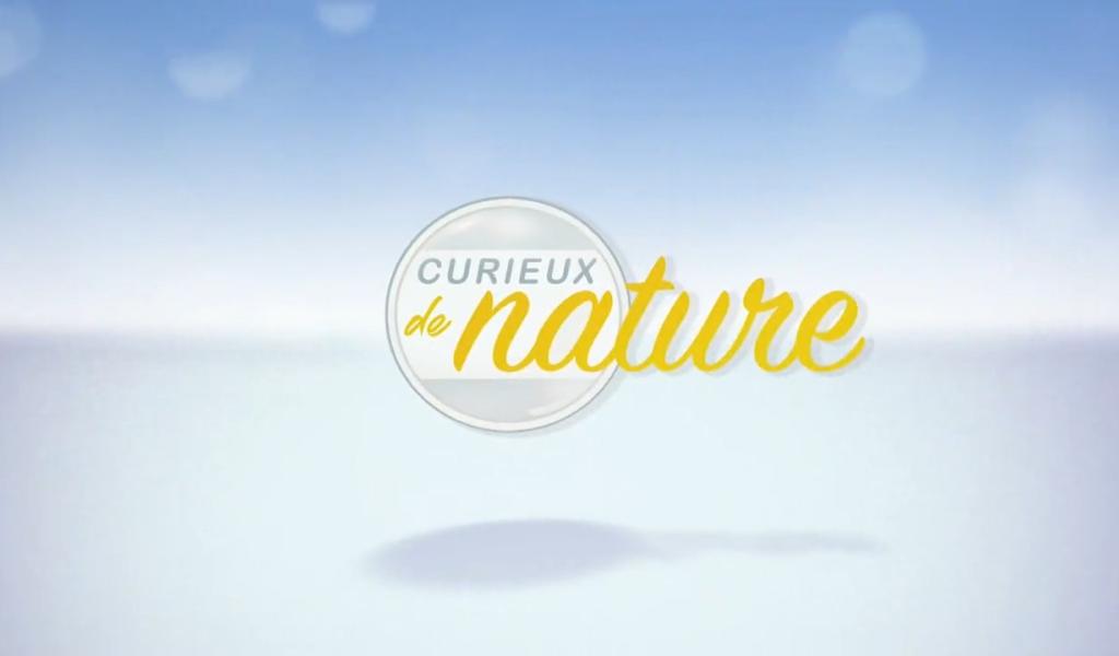 Curieux de nature - Les poissons de nos rivières