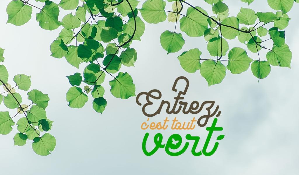 Entrez, c'est tout vert - Le jardin résilient et envoûtant