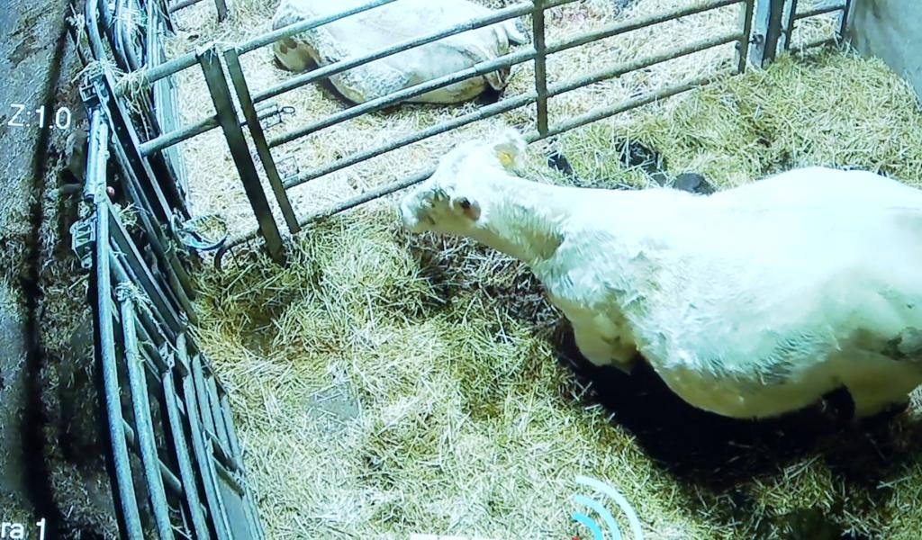 Lonzée : la vidéosurveillance au service de l'agriculture