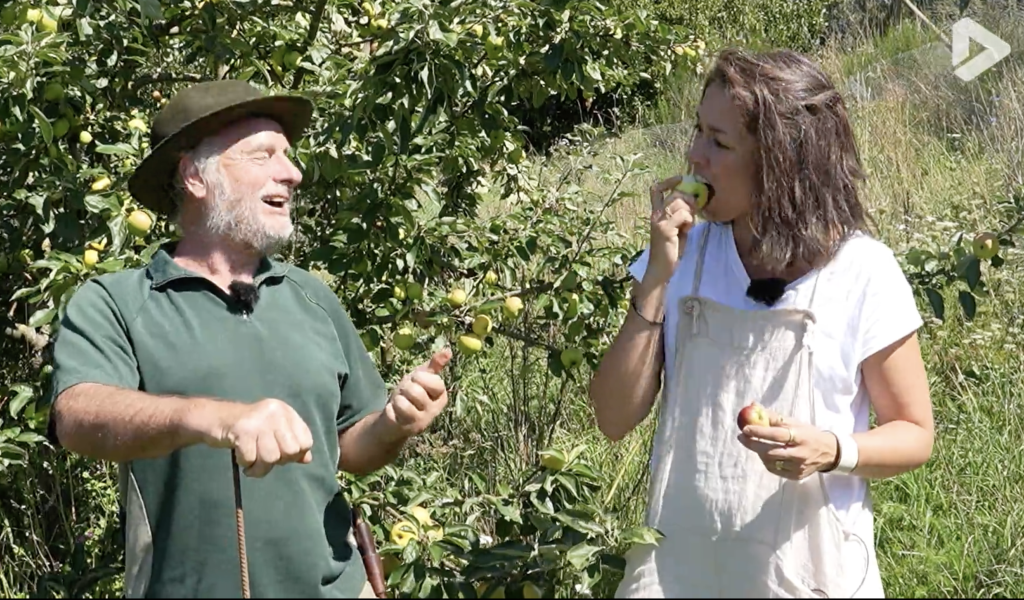 Histoires d'arbres - Le pommier sauvage