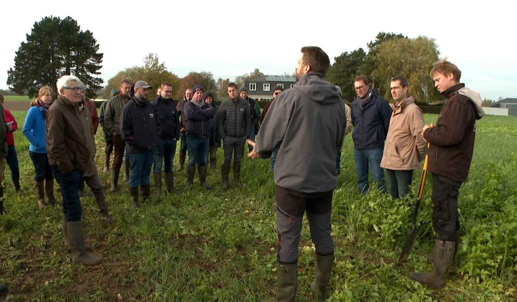 Terraé : rassembler pour progresser dans l'agroécologie en Wallonie