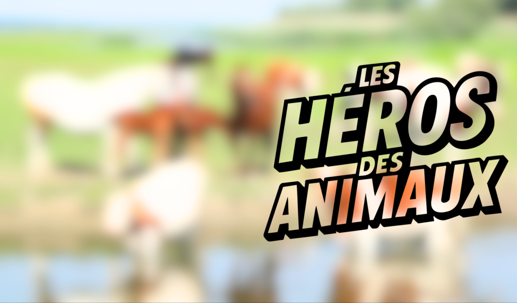 Les Héros des animaux : le Rêve d'Aby épisode 2