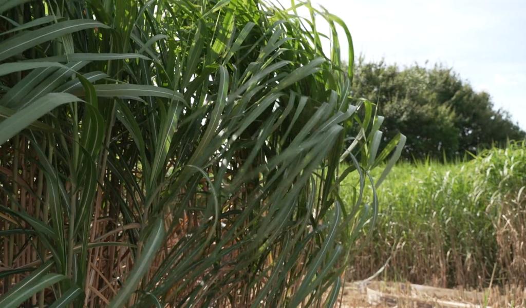 Perwez : des primes anti-inondations pour les agriculteurs