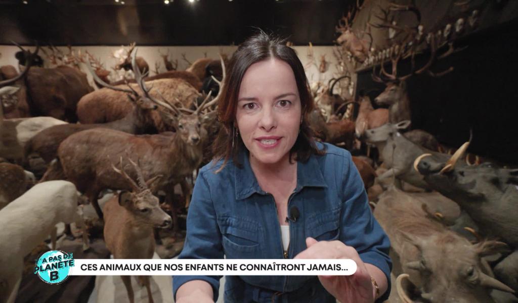 Y'a pas de planète B - Ces animaux que nos enfants ne connaitront jamais