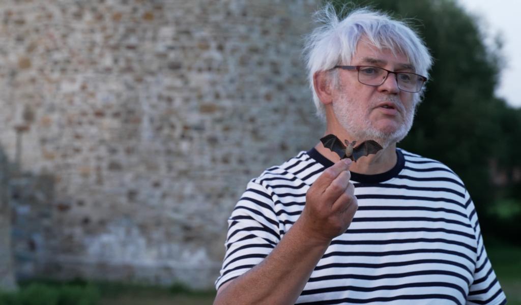 Une soirée d'observation des chauves-souris au château de Walhain