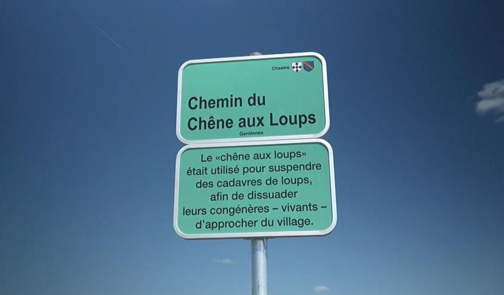 À côté de la plaque : le Chemin du Chêne aux Loups à Gentinnes