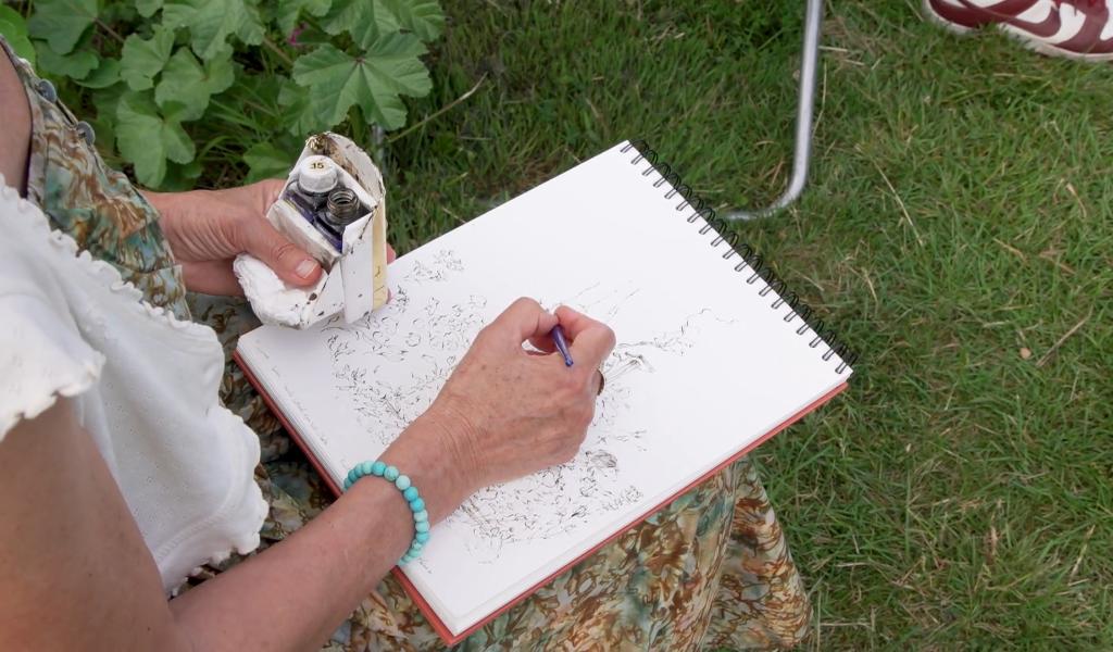 Fruit de ma passion : l'encre, la plume et les croquis de Véronique