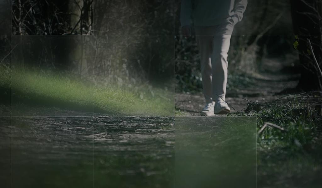 Momentum