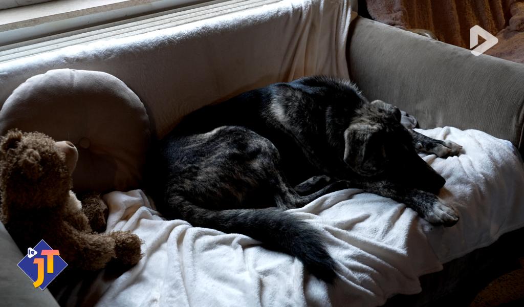 Le JT - Mercredi 29 octobre 2025