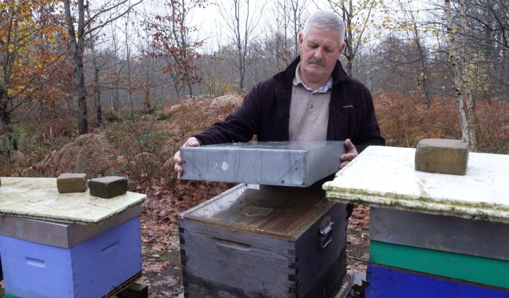 Le miel et les abeilles de l’apiculteur gembloutois Fernand Herbots médaillés