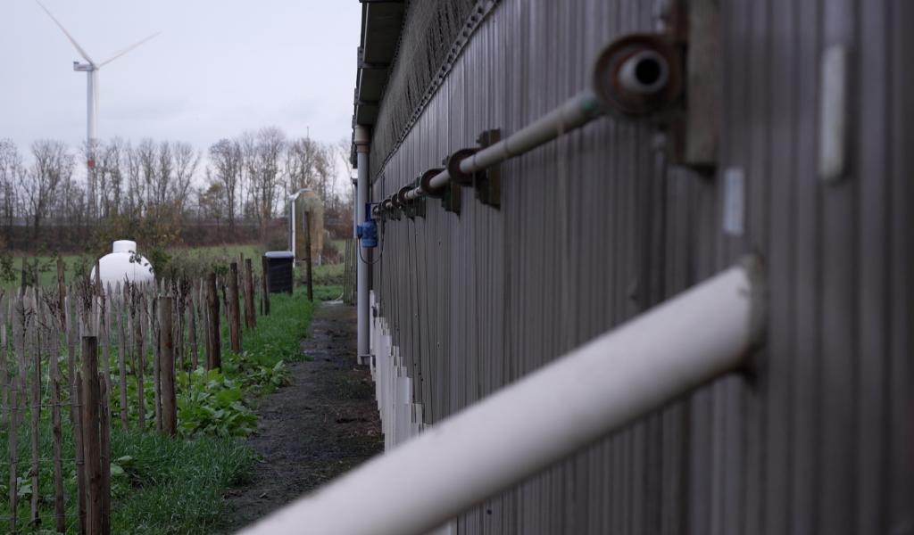 Grippe aviaire à Grand-Leez : l'AFSCA euthanasie l'élevage et établit une zone de protection