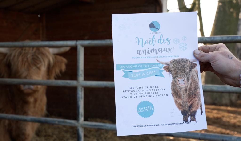 8ème édition du "Noël des Animaux" au Rêve d'Aby, ce dimanche 7 décembre