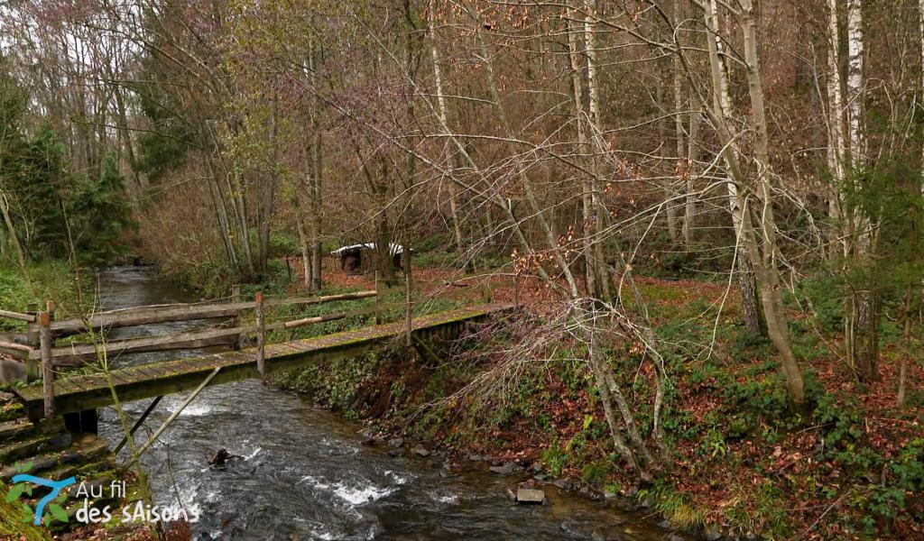 Au fil des saisons - épisode 3