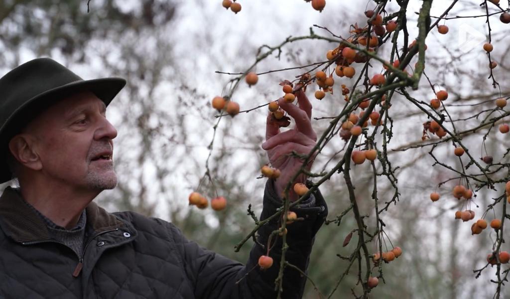 Momentum - Alain Peeters, fondateur de "Terres vivantes"