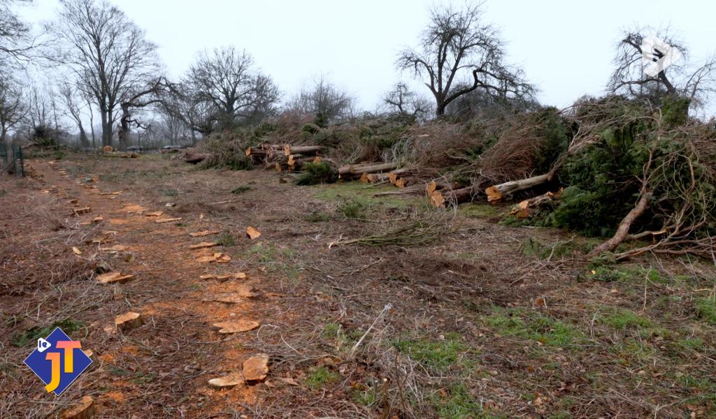 Le JT - Mercredi 28 janvier 2026