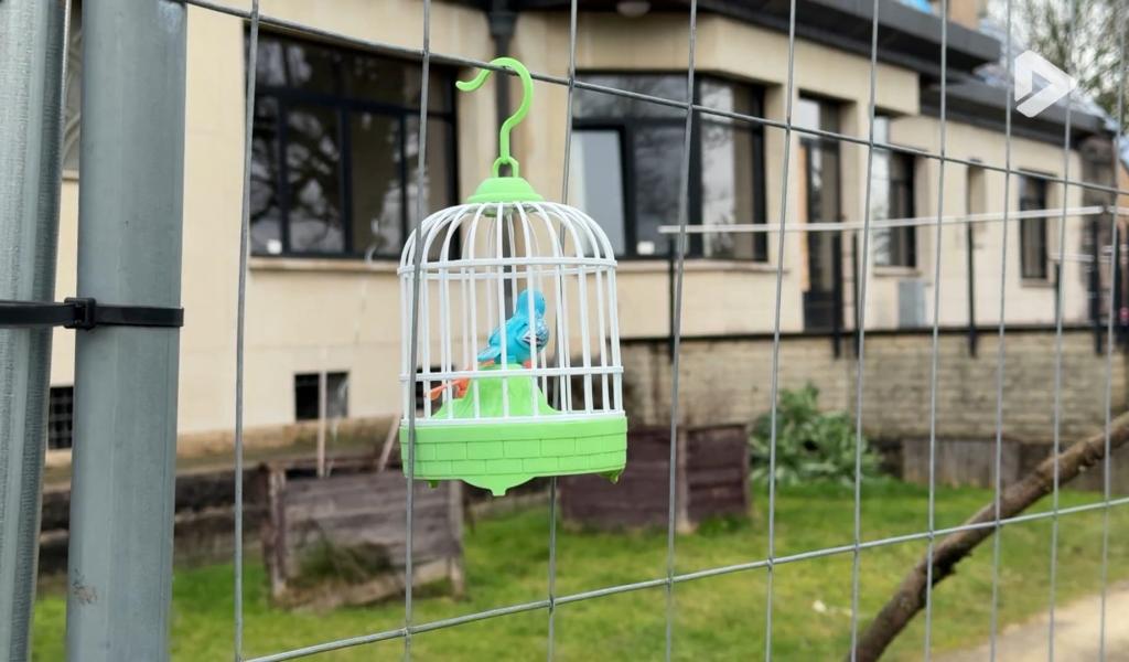 Mazy : "Le Ressort" veut rebâtir son bâtiment réduit en cendres