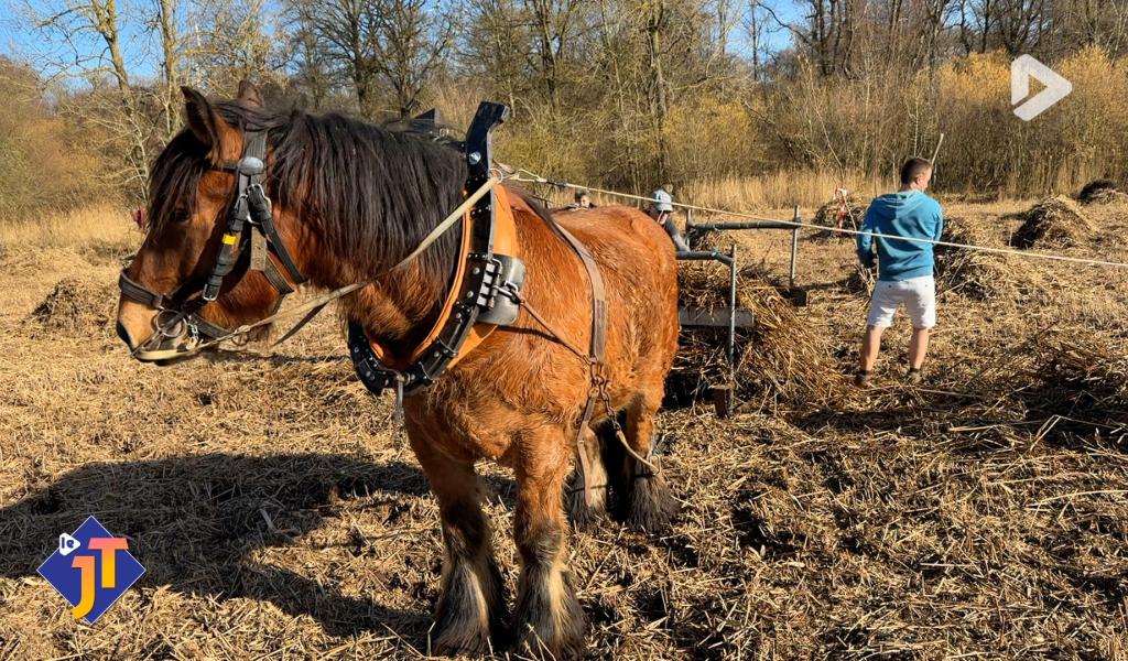 Le JT - Lundi 9 février 2026