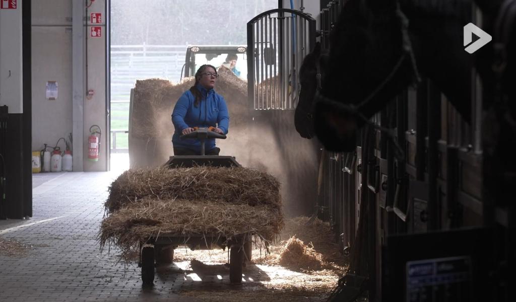 Les Héros des animaux - Equitom épisode 2