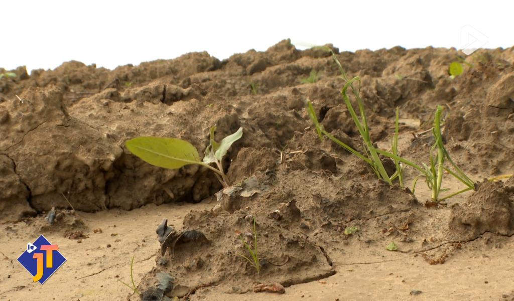 Le JT - Vendredi 13 février 2026