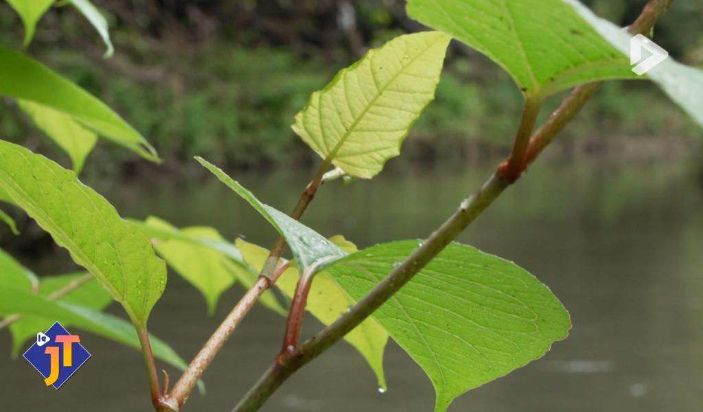 Le JT - Vendredi 27 février 2026