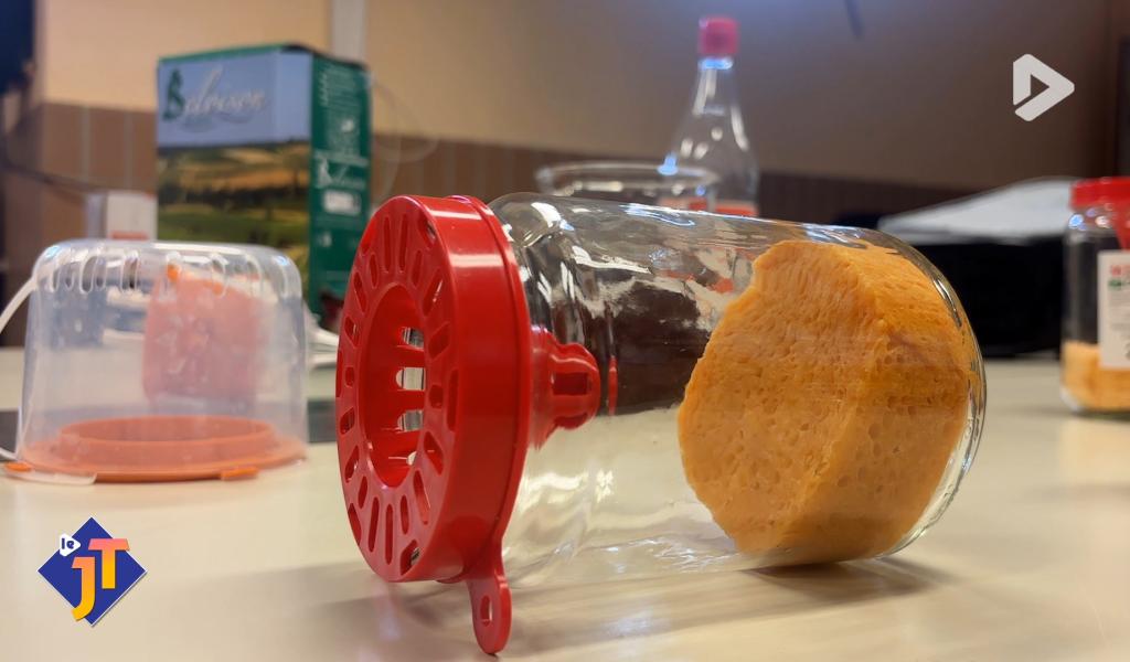 La commune de Walhain met à disposition des pièges contre le frelon asiatique