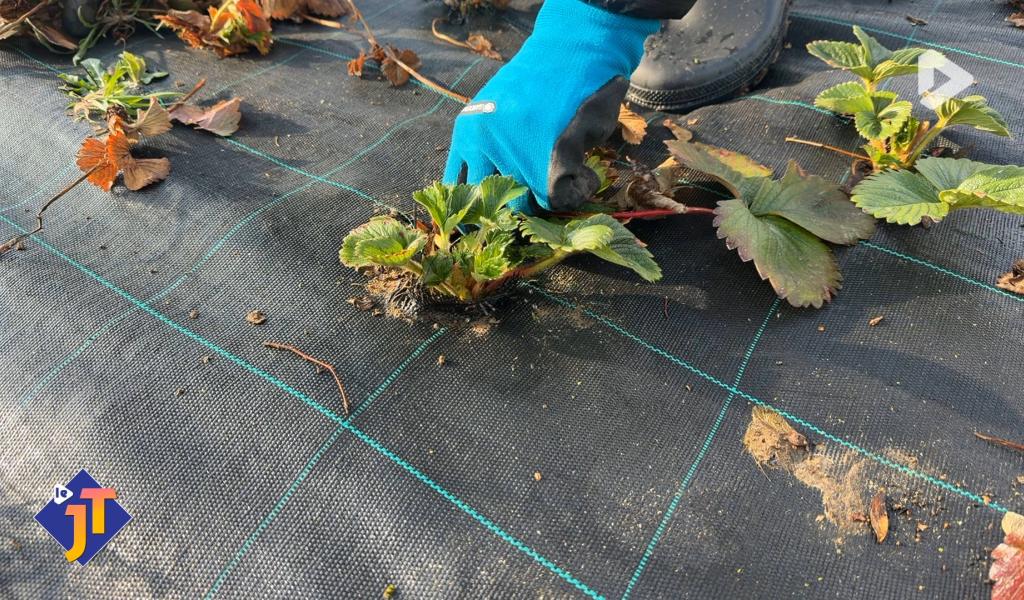 Le JT - Jeudi 12 mars