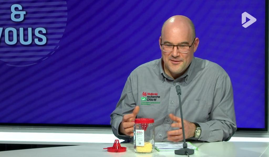 Invit'et Vous - La chasse aux frelons asiatiques est ouverte