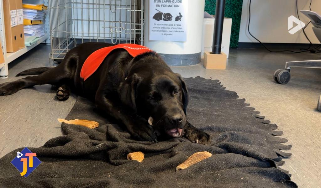 Le JT - Mercredi 18 mars 2026