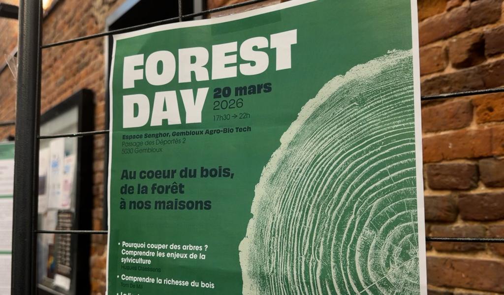 Le "Forest Day" : repenser le bois sous toutes ses dimensions