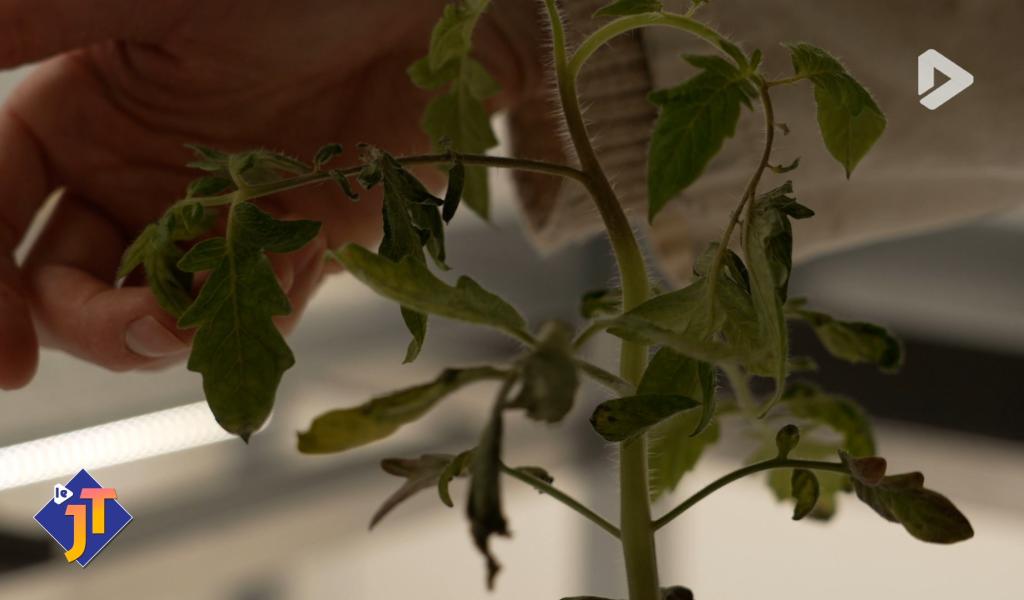 Le JT - Jeudi 25 mars 2026