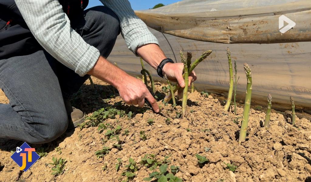 Le JT - Jeudi 23 avril 2026