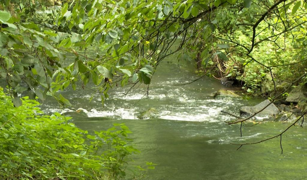 Dyle-Gette : le Contrat de rivière prolongé pour trois ans