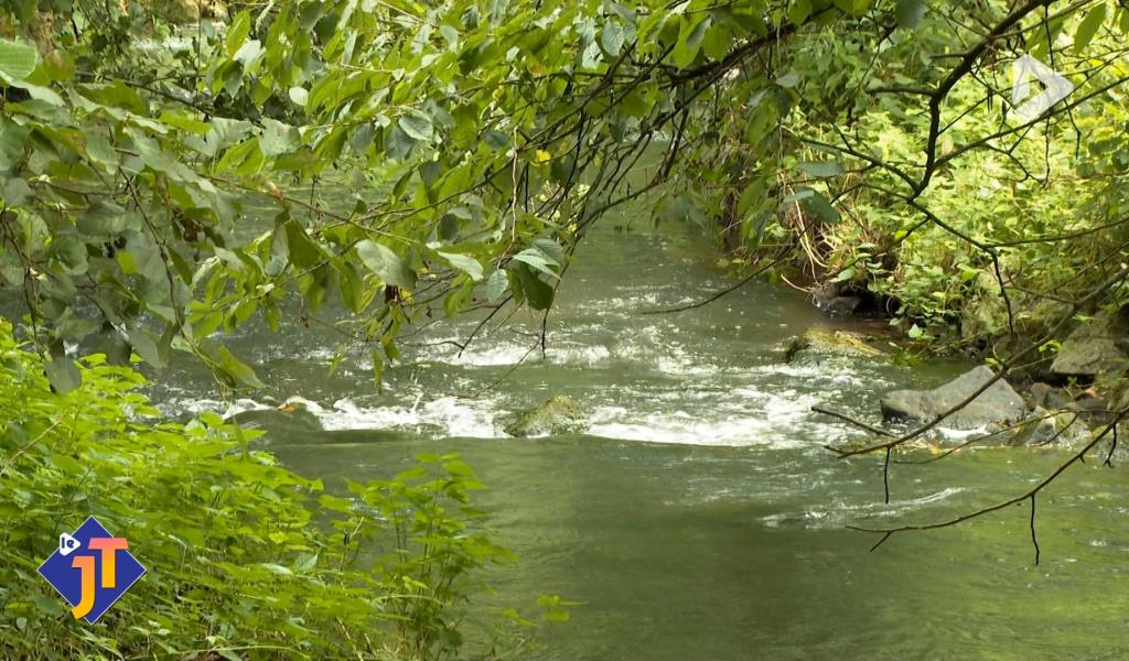 Le JT - Vendredi 24 avril 2026