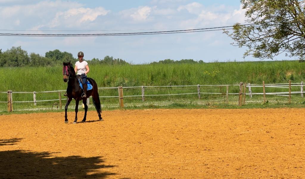 Grand-Leez : la saison estivale se prépare au Try Lambord