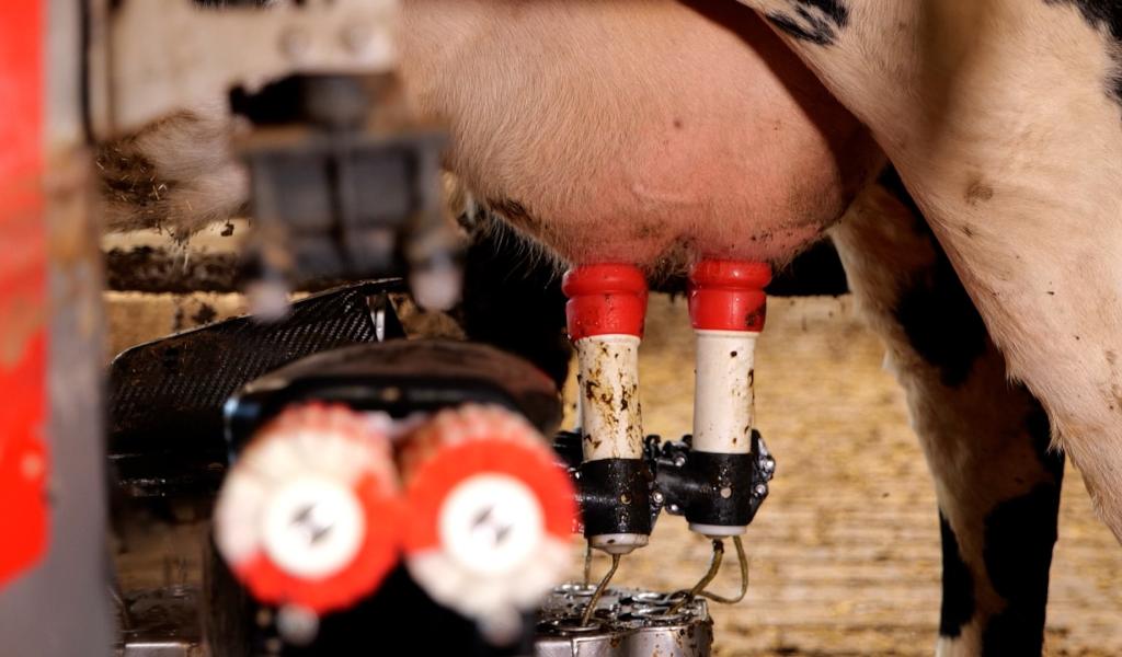Campagne GAIA "Pas ton lait" : la FWA dénonce un agribashing
