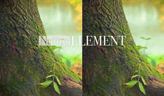 Naturellement - 22/04/2024