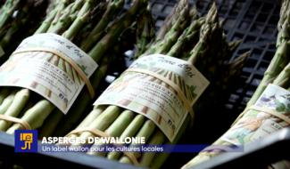 "Asperges de Wallonie" un nouveau label