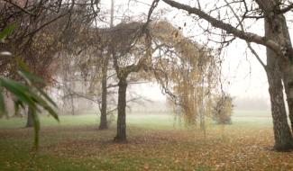 Contrechamps - Jardin d'automne