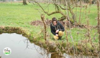 Entrez, c'est tout vert - Comment accueillir la faune dans nos jardins