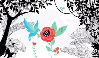 Les Colibris - 20/01/2024