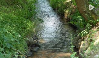 Contrechamps - Le cycle de l'eau